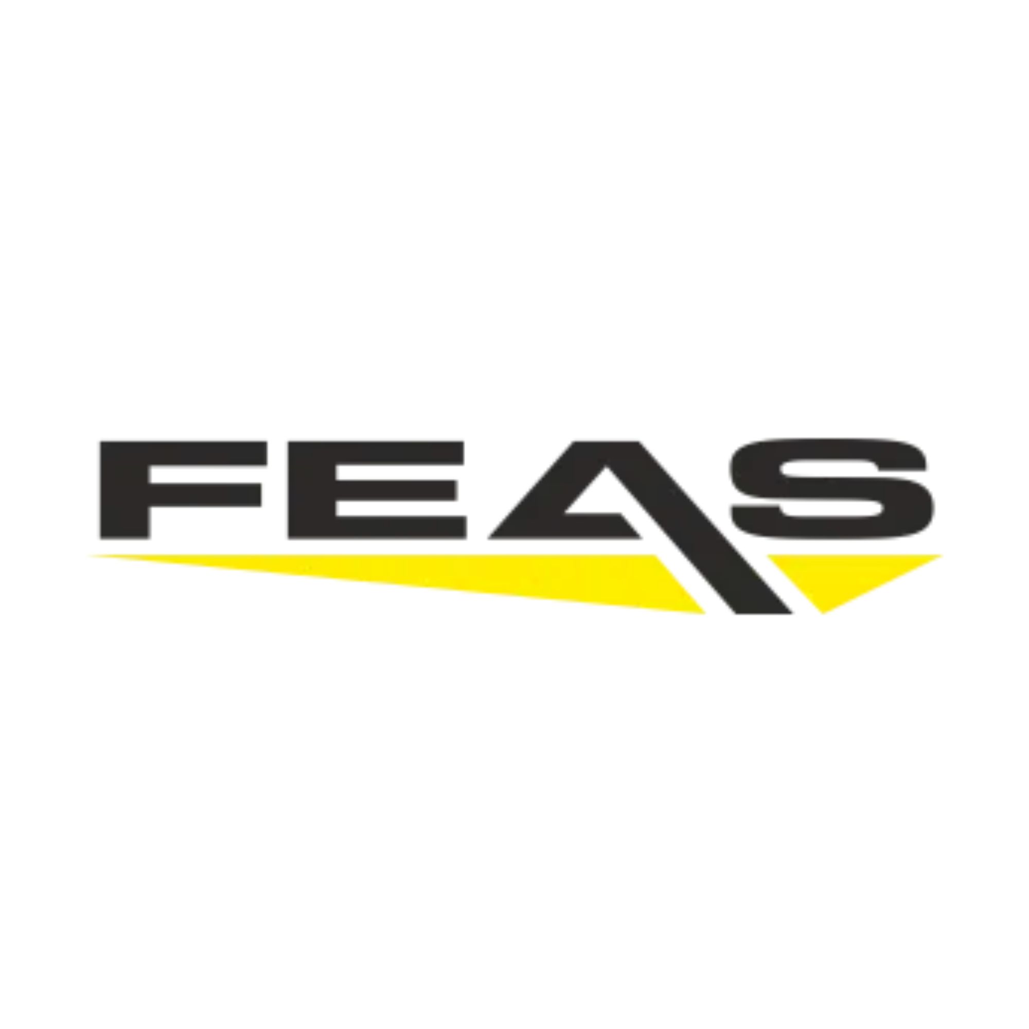 FEAS GmbH